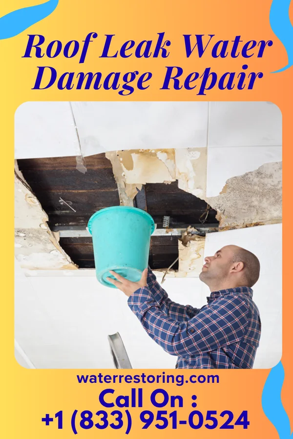 Roof Leak Water Damage Repair in Belton, TX